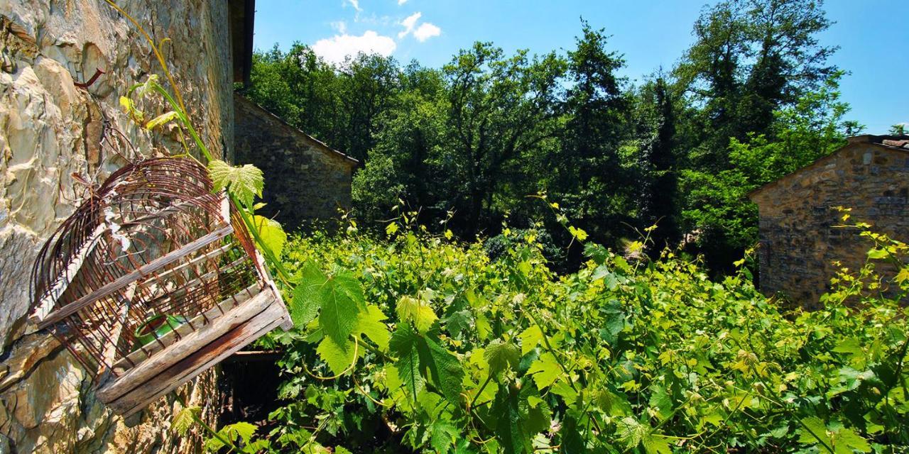 Molino Di Bombi Villa Castellina in Chianti Bagian luar foto